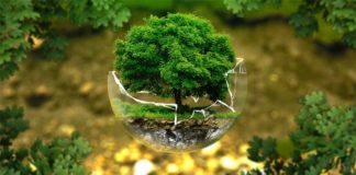 Powstaje Narodowe Centrum Badań nad Zmianami Klimatu