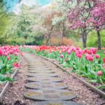 GARDEN – nowa linia produktów od Grupy Azoty