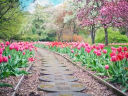GARDEN – nowa linia produktów od Grupy Azoty