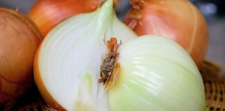 Europa rzuciła się na polską cebulę. Jej ceny poszły mocno w górę