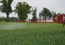 Jak skutecznie poprawić działanie zabiegów ochronnych?