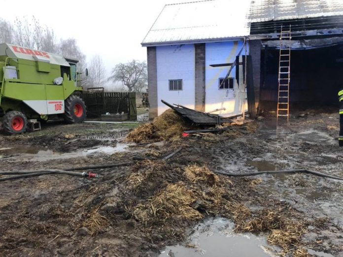 rolnik, rolnictwo, pożar, spłonęło tysiące kaczek, pożar pod Radomiem, KM PSP Radom, OSP Jedlińsk 