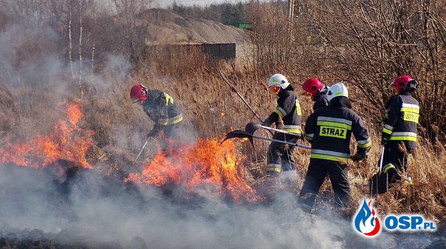 Rząd przyjął projekt ustawy o Ochotniczych Strażach Pożarnych