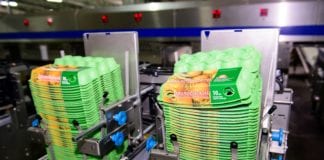Polscy producenci jaj żyją z eksportu. Ukraina może im zaszkodzić