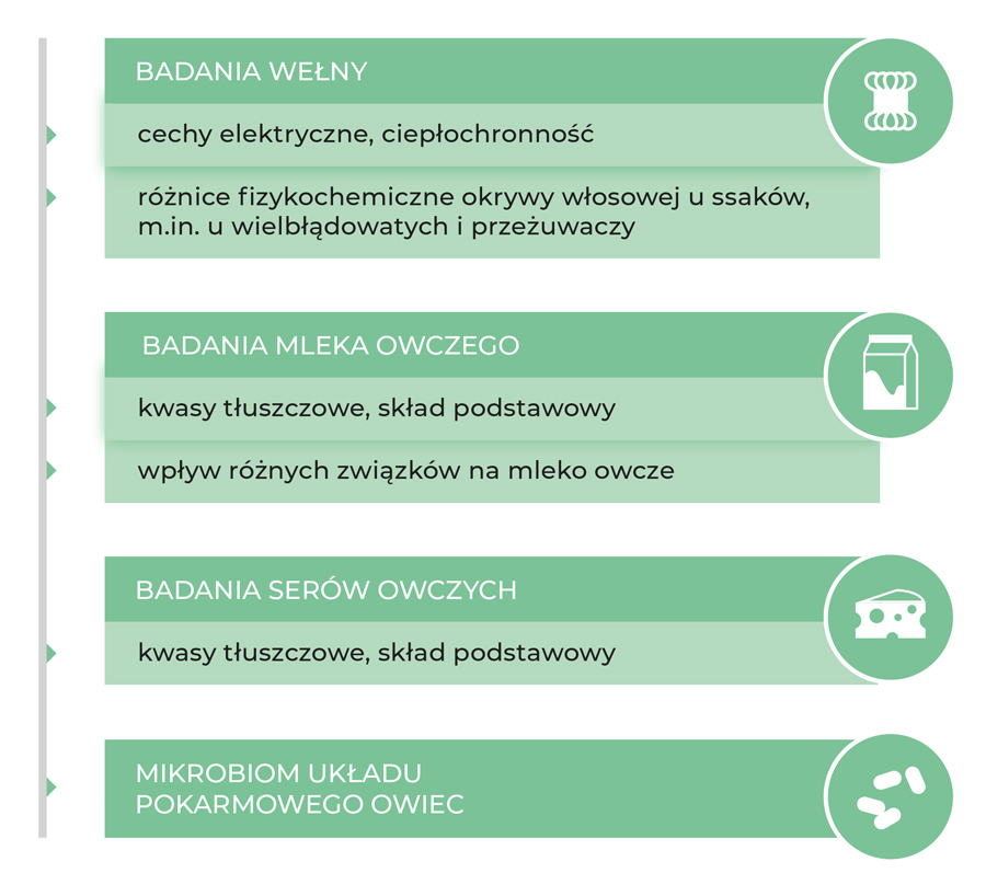 Badania owiec i produktów owczych na UPWr 