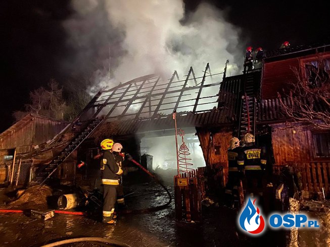 OSP.pl