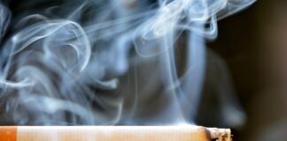 Drastyczne podwyżki akcyzy na wyroby tytoniowe. Ucierpią rolnicy uprawiający tytoń!