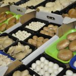 Polska pieczarkową potęgą. A będzie jeszcze lepiej