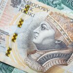 Zaliczki idą jak burza. Na konta rolników trafiło już ponad 5,5 mld złotych