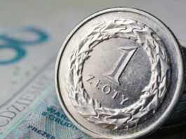 Rewolucja w dopłatach 2026! Znamy nowe stawki i warunki