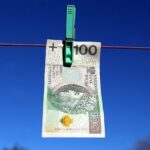 Płatności bezpośrednie i obszarowe: Ile pieniędzy trafiło do rolników?