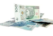 Dopłaty 2025 na finiszu. Ponad pół miliarda złotych za dobrostan już trafiło do rolników
