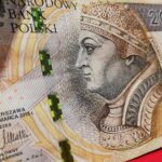ARiMR podsumowała 2022 rok. Podała ile pieniędzy dostali rolnicy