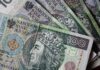 Lnianka siewna z dopłatą do ubezpieczenia? Izby rolnicze apelują do ministra