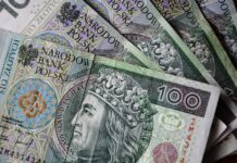 Lnianka siewna z dopłatą do ubezpieczenia? Izby rolnicze apelują do ministra