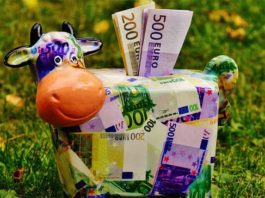 Ile pieniędzy z UE na rozwój polskiej wsi w latach 2021-2027?
