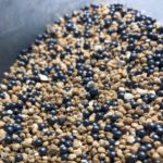 Pinkstart Boron – nowy mikrogranulowany nawóz startowy w ofercie Timac Agro Polska