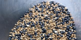 Pinkstart Boron – nowy mikrogranulowany nawóz startowy w ofercie Timac Agro Polska