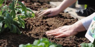 Podsumowanie ostatnich wydarzeń w rolnictwie i agrobiznesie (20.06.-24.06.2022)
