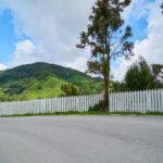 Płot pod lupą urzędników. Nowa opłata coraz bliżej?