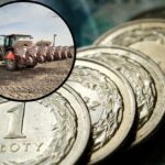 Rolnik zdecyduje, komu przekaże 1,5% podatku rolnego. Nowa możliwość w 2025 roku