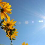 Nadchodzi pierwszy wiosenny „upał”. Termometry pokażą nawet 25°C