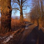 Pogoda oszaleje: Dwucyfrowa temperatura już w ten weekend
