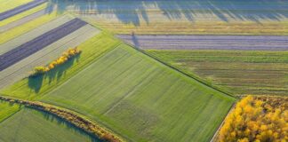 Strategia na rzecz ochrony gleb 2030 – zaopiniuj mapę drogową
