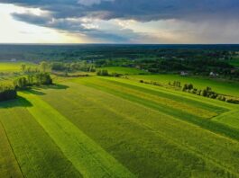 Płatności PS WPR 2023–2027. Te dokumenty trzeba złożyć do 31 lipca