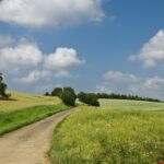 Ekoschematy – podstawowe wymogi i możliwości łączenia na jednej działce