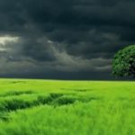 W Concordii Polska Grupa Generali rusza sezon ubezpieczeń upraw