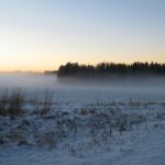 Listopad w kratkę: od 16°C do śnieżycy