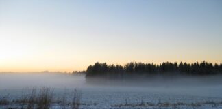 Listopad w kratkę: od 16°C do śnieżycy