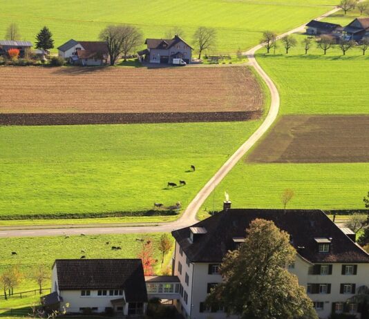 Rozliczenie PROW 2014–2020: ważne terminy dla beneficjentów