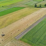 Wypłata płatności bezpośrednich i obszarowych przyspiesza. Ilu rolników dostało pieniądze?