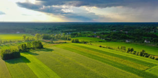 Rolnicza perełka na sprzedaż. Dawny PGR na Mazurach ponownie wystawiony