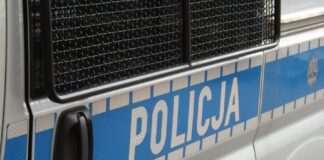Pod koła motocyklisty wpadło źrebię. Za szkody odpowie właściciel zwierzęcia