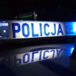 Kradzież borówek przerodziła się w groźby. Sprawca szybko wpadł