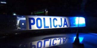 Tajemnicze szczątki w polu kukurydzy pod Terespolem
