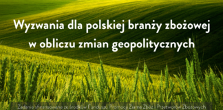 Wyzwania dla polskiej branży zbożowej w obliczu zmian geopolitycznych
