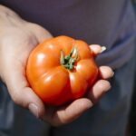 Europejscy rolnicy przeciw umowie UE i Mercosur. Zaleje nas tania żywności z Ameryki Południowej!
