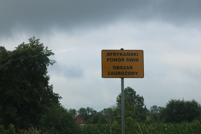 ASF, Mienia, świnie, trzoda chlewna, walka z ASF
