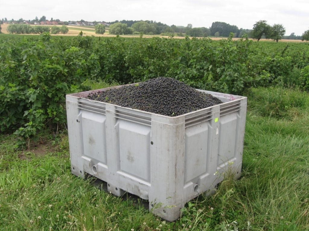 pozycja producentów rolnych, pozycja rolnika w łańcuchu żywnościowym, przewaga kontraktowa