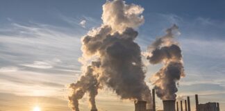 Rolnictwo i globalne ocieplenie, nowa unijna inicjatywa – LULUCF
