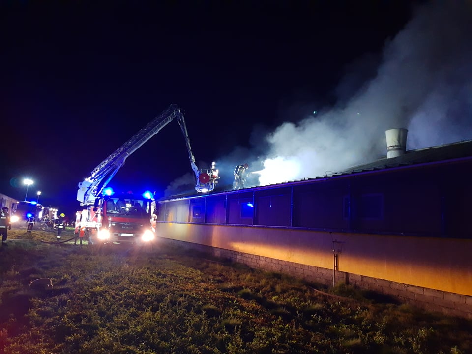Ogromny pożar chlewni. Świnie spalił się żywcem