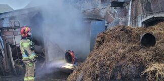 Zwierzęta w niebezpieczeństwie. Pożar stodoły koło Ciechanowa