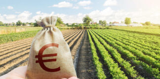 Jaki wpływ kurs euro ma na polskie rolnictwo?