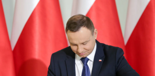 Prezydent ASF tuczniki świnie