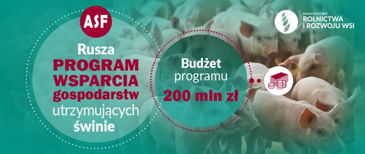ASF – rusza zapowiadany Program wsparcia gospodarstw utrzymujących świnie