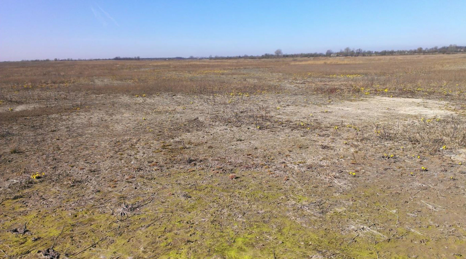 Rolnicze wykorzystanie zrekultywowanych terenów pokopalnianych